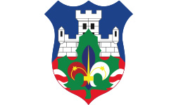 izvidjaci